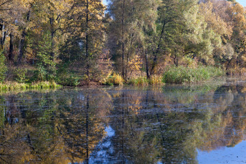 The Psel river in the autumn.