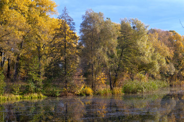 The Psel river in the autumn.