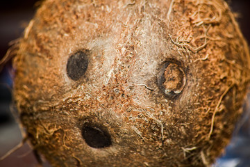 Coconut is macro, soft focus