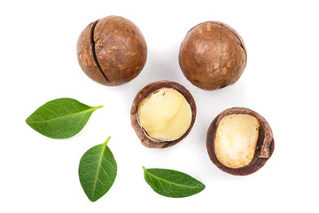 Shelled and unshelled macadamia nuts with leaves isolated on white background. Top view. Flat lay pattern