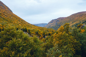 Fall Colors In Northern Scandinavia