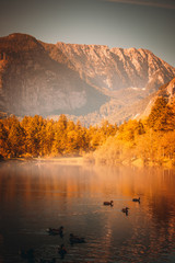 Bergsee mit Enten im Herbst