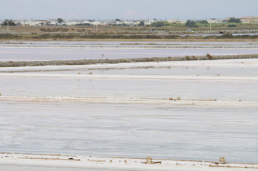 Salins de Gruissan