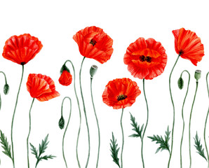 Seamless border -Watercolor Poppies. Red poppy flowers. Poppy flower remembrance day symbol. Isolated on white background.