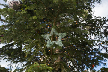 Holidays and decoration concept - Christmas ball on the branches in outdoor
