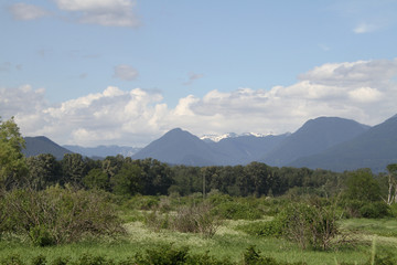 Fototapeta premium A picture of a meadow with mountains in the background.