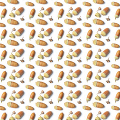 acorns of an oak on a white background