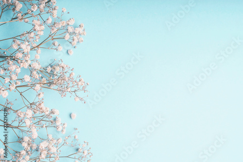 Light Blue Floral Background With White Gypsophila Flowers And Copy Space For Your Design Baby S Breath Flowers On Pastel Blue Desktop Wall Mural Vicuschka