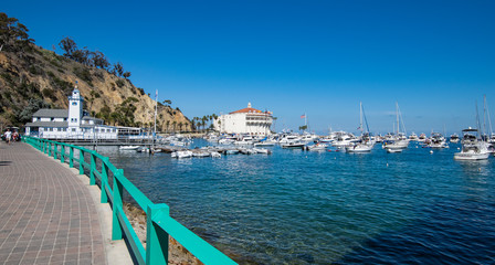 Obraz premium Catalina Island, California