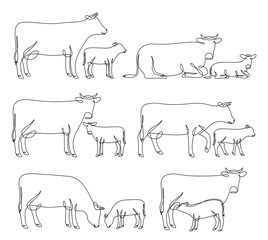 Continuous line drawing of cows and calves