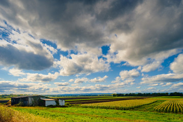 Fototapeta na wymiar Cloudscape Barn Farm Horizon