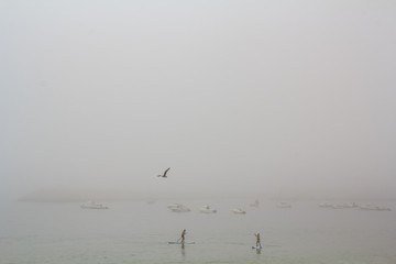 Stand Up Paddle surf in the fog