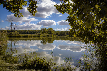 teichlandschaft