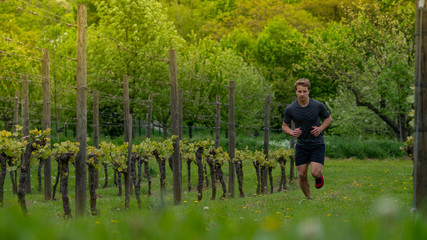 A young athletic guy runs up the hill along the vineyards