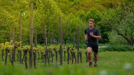 A young athletic guy runs up the hill along the vineyards