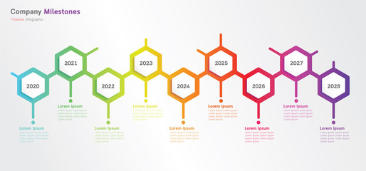 Timeline Infographic Company History Milestones