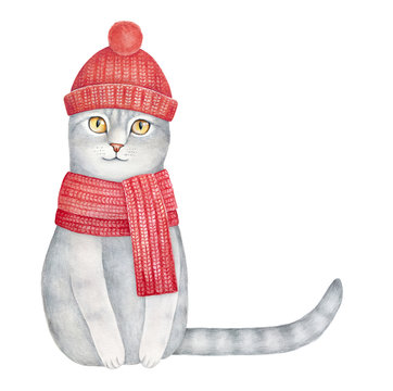 Grey smiling kitten dressed in beanie knit cap with pompom and warm wool scarf. Long striped tail can be used as frame for text or creative composition. Hand drawn watercolour paint on white, cutout.