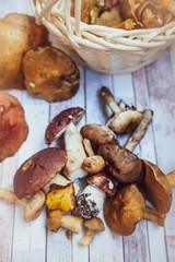 Mushrooms on the table, flat lay , autumn, mushroom background top view , porcini and brown cap boletus