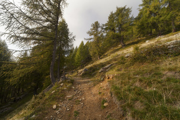 Fototapeta na wymiar percorrendo un sentiero di montagna a inizio autunno