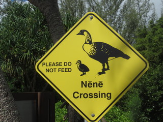 Straßenschild Nene Crossing Bitte nicht füttern