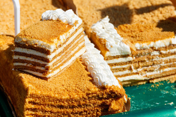 Tasty homemade layered honey cake close-up