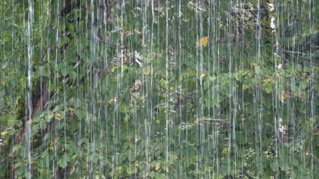 Wasserfall vor Bl&auml;tterwand