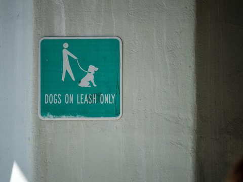 Green Dogs On Leash Only Sign Hanging On Concrete Wall