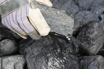 A man holding a piece of coal.