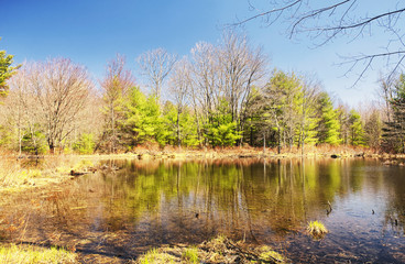 A small pond near indian council caves Barkhamsted