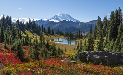 Mt Rainier at Tipsoo Lake in the Fall.