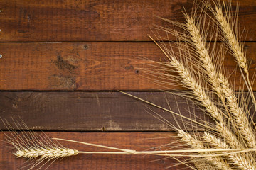 Grains of Wheat on weathered wooden background with copy-space.F