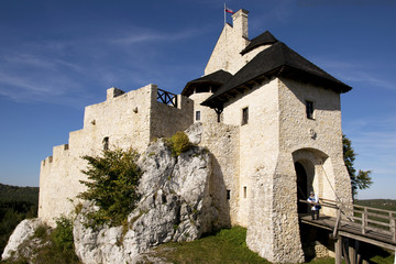 Zamek Bobilice