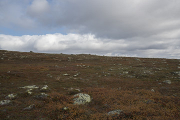 Städjan-Nipfjället