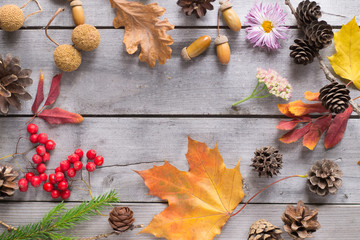 Autumn background with leaves, rowan berries, cones