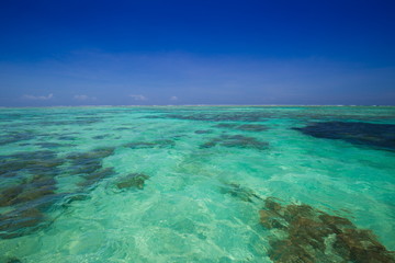 Zanzibar, landscape sea