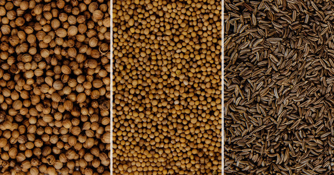Three spices side by side view from above for mustard, coriander and cumin. Concept for stores selling spice seeds. Using spices for dishes, improving the taste.