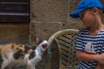 Attacking cat and boy