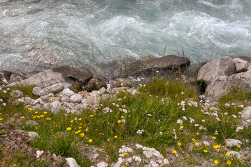 Veduta dall'alto di un torrente di montagna con acqua trasparente, rocce e fiori selvatici in estate
