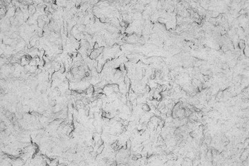 Abstract white background. Minimalistic pattern in light colors. White texture of cement wall. Blank for designer