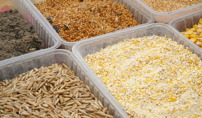 Seeds and grains in baskets on the market