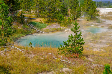 Obraz premium Yellowstone spring