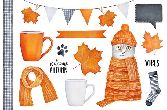 Orange color collection of various Autumn seasonal elements: cosy coffee mugs, party garland, beautiful maple leaves, text lettering, pet character, soft wool knitted clothes. Watercolour drawing.