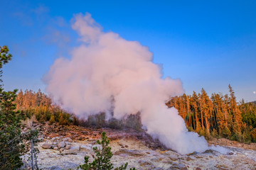 Geysers in Yellowstone