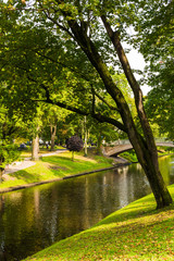 View of a beautiful autumn park with a lake.