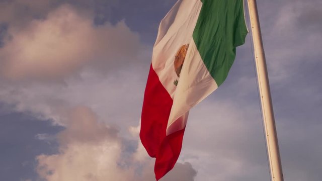 Mexican Flag 2