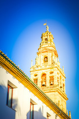 Bell tower and former minaret of cathedral Mezquita, Cordoba, Andalusia, Spain, toned