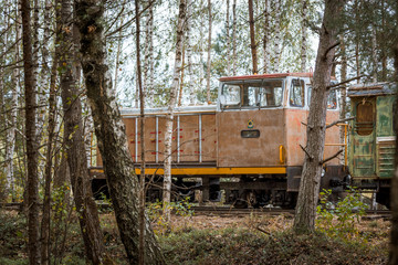 Narrow gauge railway leading through a forest. Narrow railroad riding through colorful birch alley...