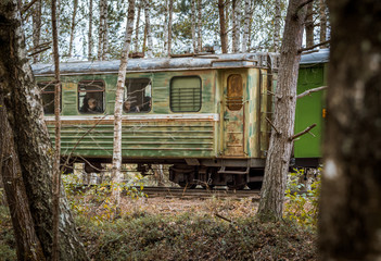 Naklejka premium Narrow gauge railway leading through a forest. Narrow railroad riding through colorful birch alley in autumn colors. Authentic Soviet time train with impressive locomotive. 