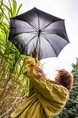 eine Frau versucht bei starkem Wind ihren Regenschirm festzuhalten