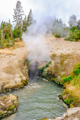 Yellowstone thermal spring